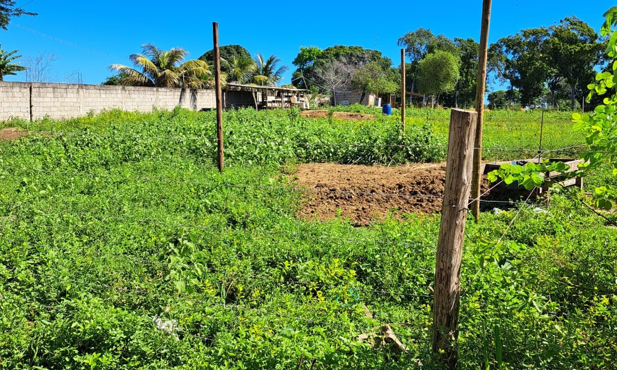 visao-lote-perocao-guarapari